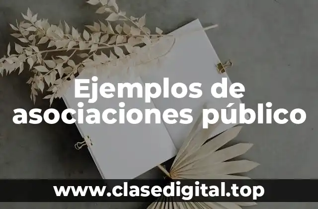 Ejemplos de asociaciones público-privadas