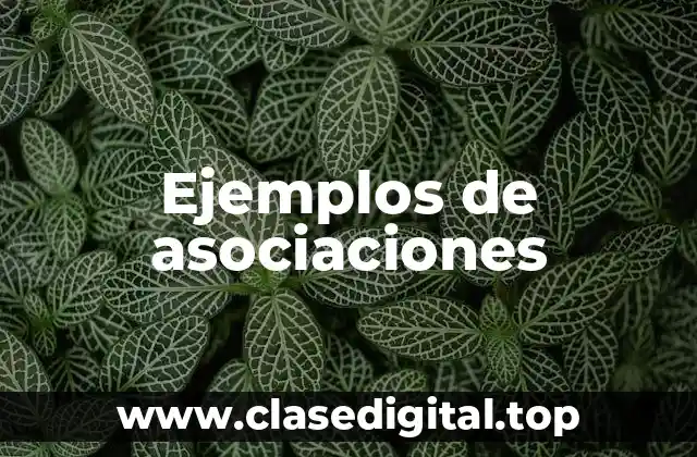 Ejemplos de asociaciones