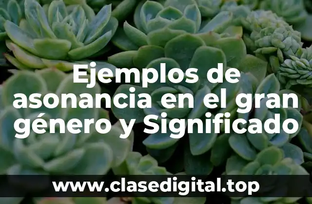 Ejemplos de asonancia en el gran género y Significado