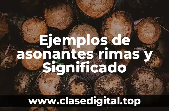 Ejemplos de asonantes rimas y Significado