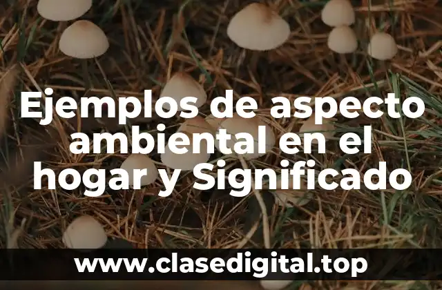 Ejemplos de aspecto ambiental en el hogar y Significado