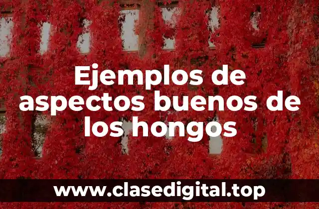 Ejemplos de aspectos buenos de los hongos