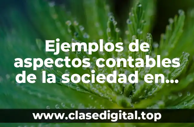 Ejemplos de aspectos contables de la sociedad en nombre colectivo y Significado