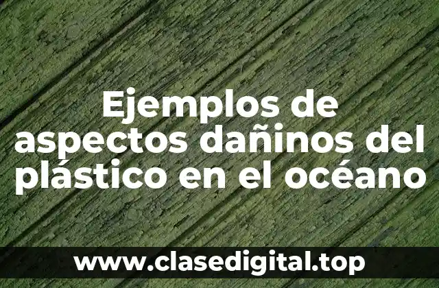 Ejemplos de aspectos dañinos del plástico en el océano