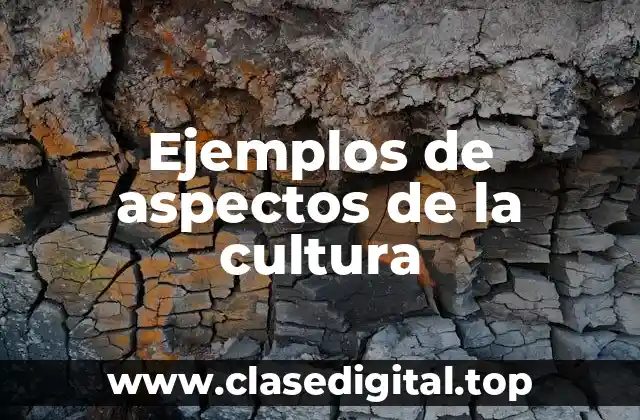 Ejemplos de aspectos de la cultura