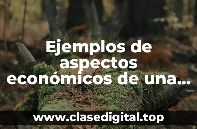 Ejemplos de aspectos económicos de una persona