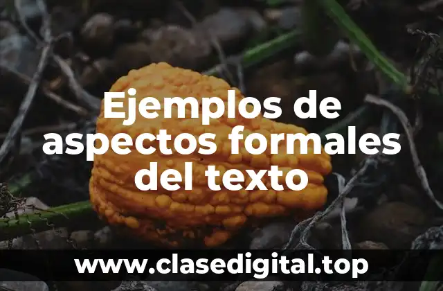 Ejemplos de aspectos formales del texto
