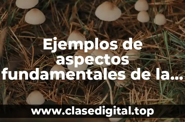 Ejemplos de aspectos fundamentales de la teoría general de sistemas