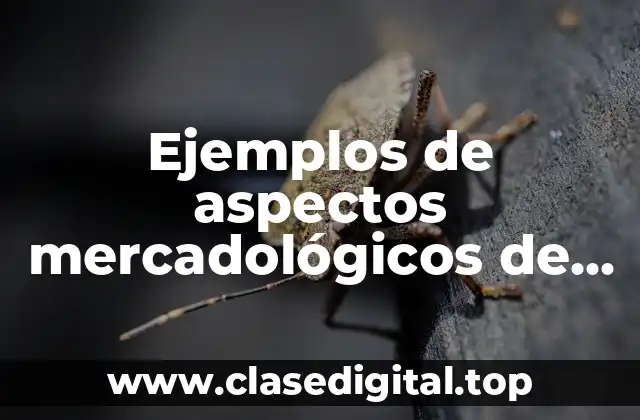 Ejemplos de aspectos mercadológicos de una empresa