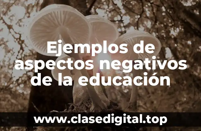 Ejemplos de aspectos negativos de la educación