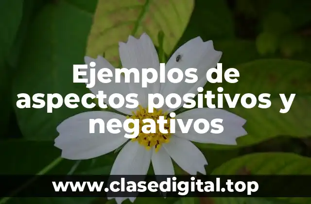 Ejemplos de aspectos positivos