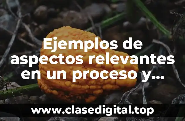 Ejemplos de aspectos relevantes en un proceso y Significado
