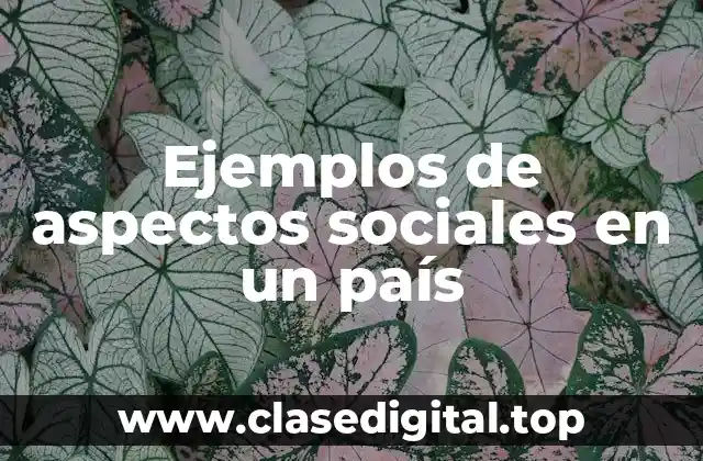 Ejemplos de aspectos sociales en un país