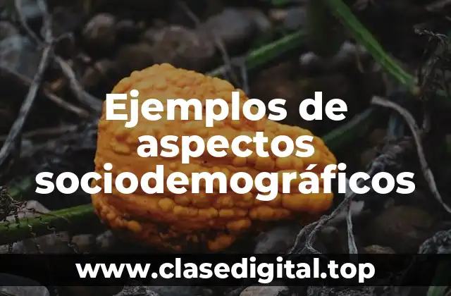 Ejemplos de aspectos sociodemográficos