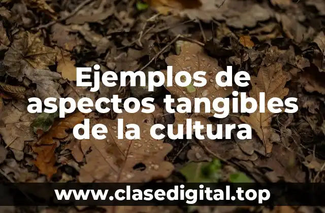 Ejemplos de aspectos tangibles de la cultura