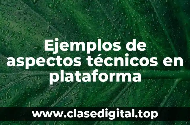 Ejemplos de aspectos técnicos en plataforma