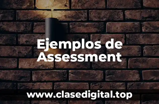 Ejemplos de Assessment