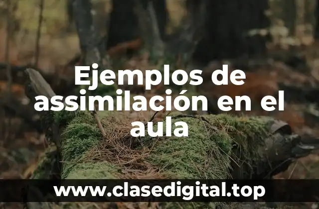 Ejemplos de assimilación en el aula