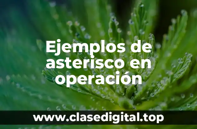 Ejemplos de asterisco en operación