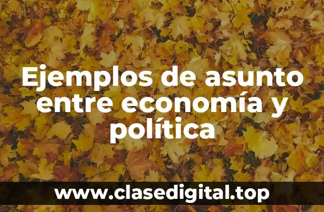 Ejemplos de asunto entre economía y política