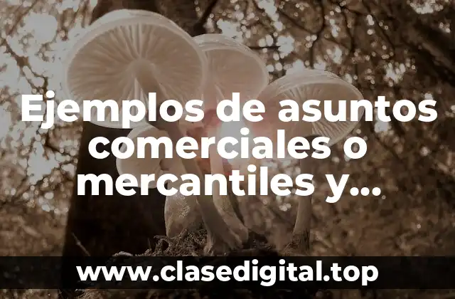 Ejemplos de asuntos comerciales o mercantiles y Significado