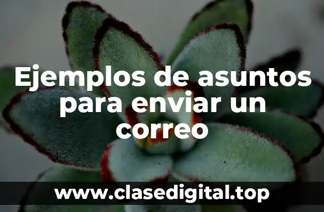 Ejemplos de asuntos para enviar un correo