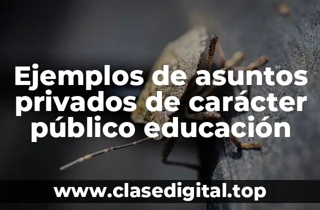 Ejemplos de asuntos privados de carácter público educación