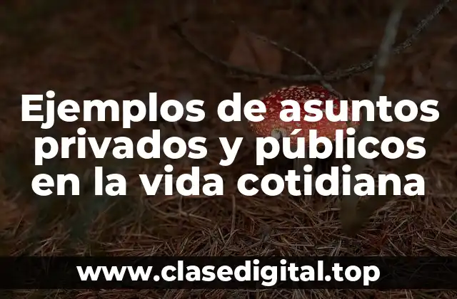 Ejemplos de asuntos privados y públicos en la vida cotidiana