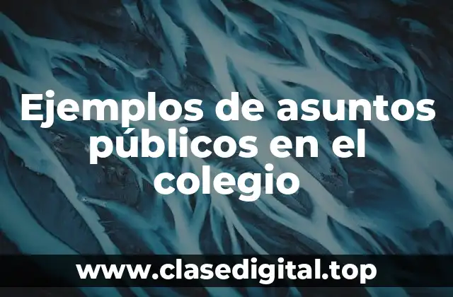 Ejemplos de asuntos públicos en el colegio