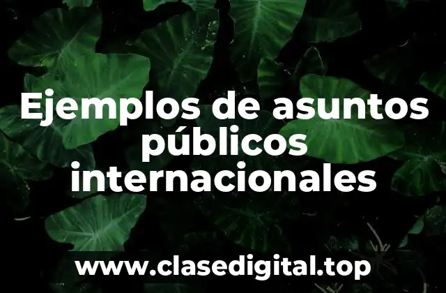 Ejemplos de asuntos públicos internacionales