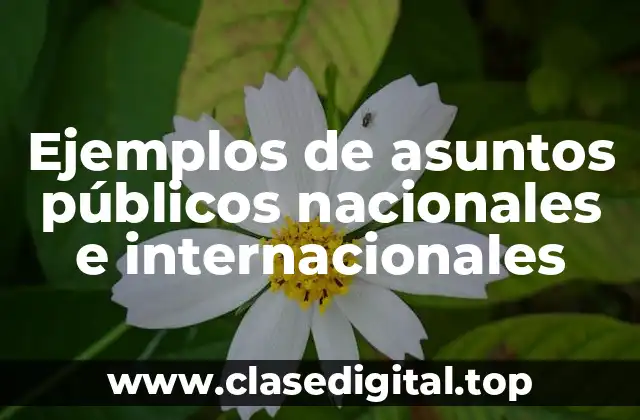 Ejemplos de asuntos públicos nacionales e internacionales