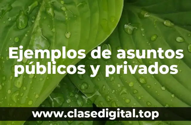 Ejemplos de asuntos públicos y privados
