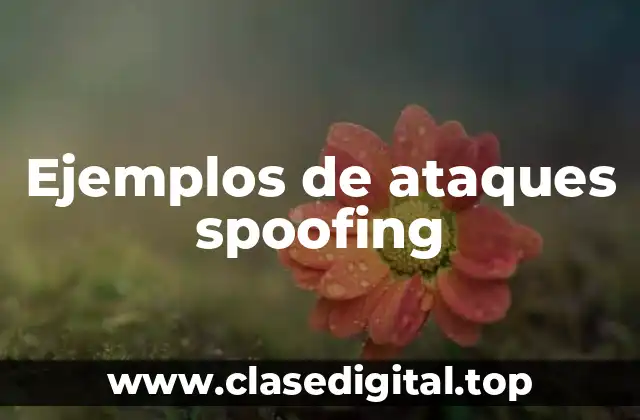 Ejemplos de ataques spoofing