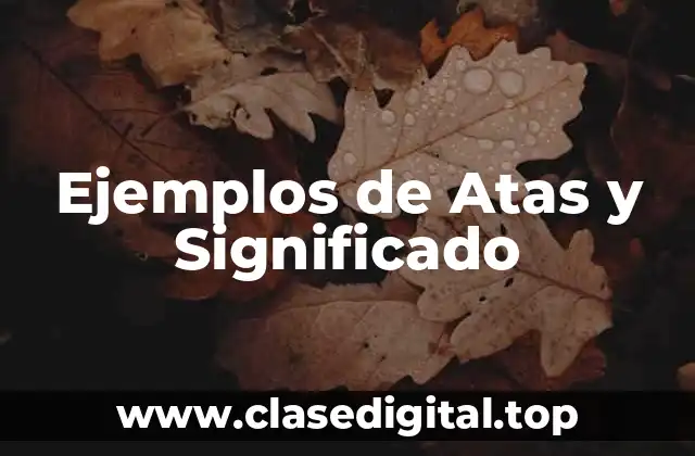 Ejemplos de Atas y Significado