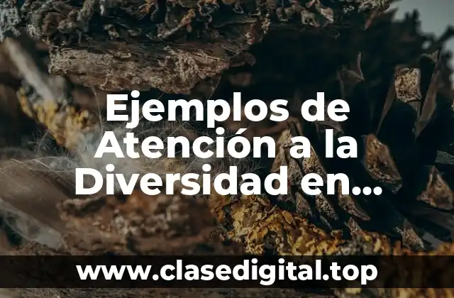 Ejemplos de Atención a la Diversidad en Primaria