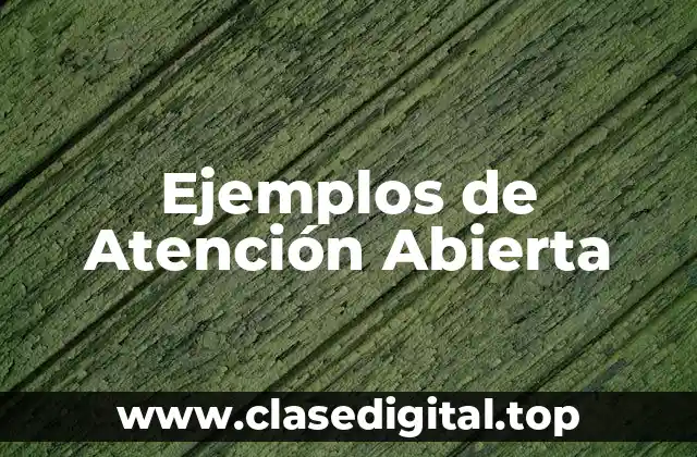 Ejemplos de Atención Abierta