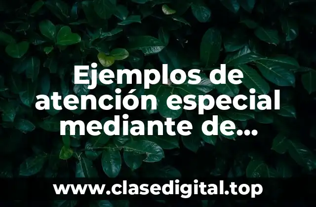 Ejemplos de atención especial mediante de programación temprana y Significado
