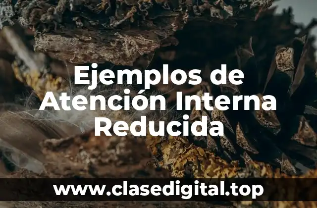 Ejemplos de Atención Interna Reducida