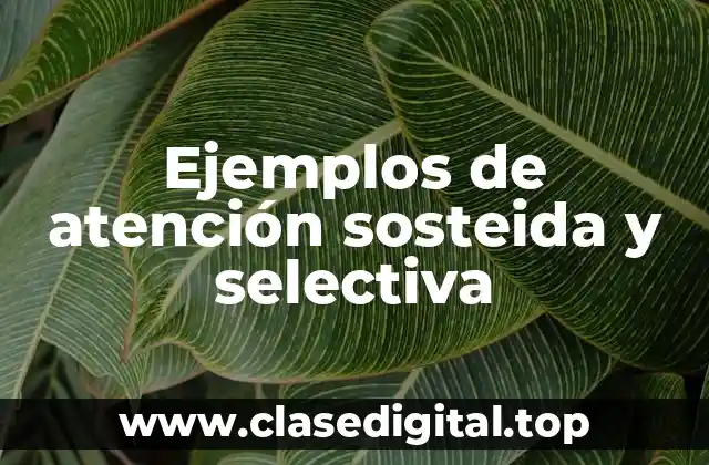 Ejemplos de atención sosteida y selectiva