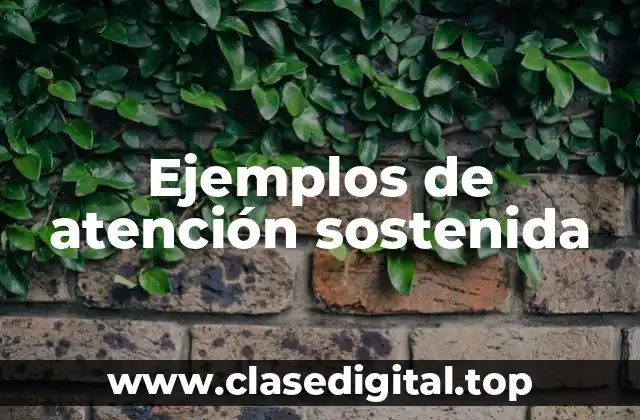 Ejemplos de atención sostenida