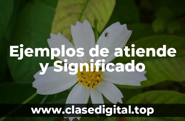 Ejemplos de atiende y Significado
