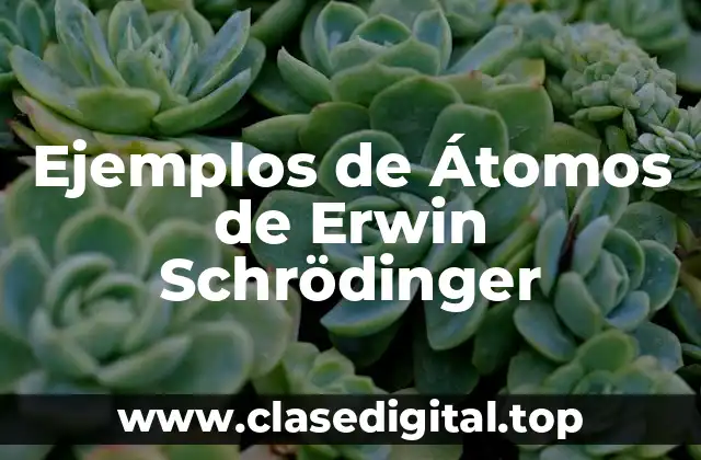 Ejemplos de Átomos de Erwin Schrödinger