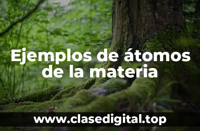 Ejemplos de átomos de la materia