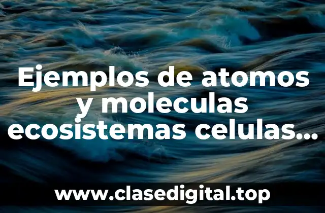 Ejemplos de atomos y moleculas ecosistemas celulas tejidos orgonas