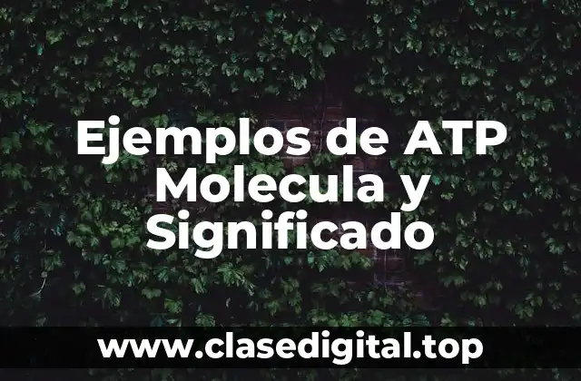 Ejemplos de ATP Molecula