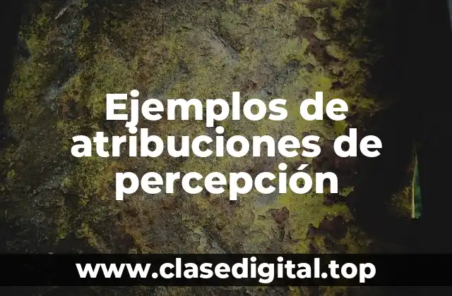 Ejemplos de atribuciones de percepción