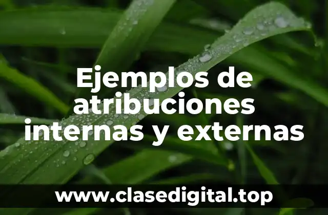 Ejemplos de atribuciones internas y externas