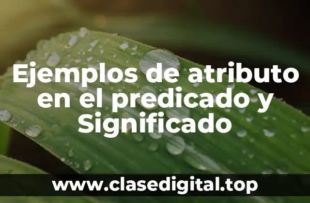 Ejemplos de atributo en el predicado y Significado
