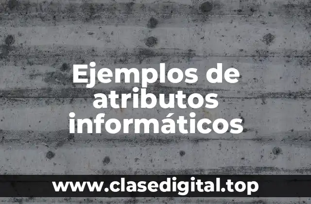 Ejemplos de atributos informáticos
