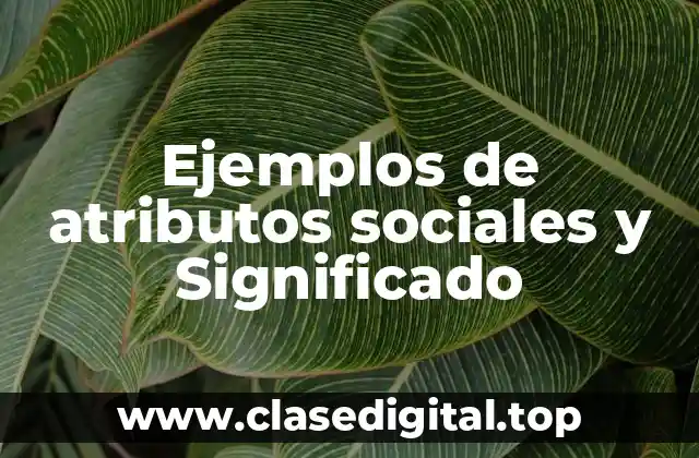 Ejemplos de atributos sociales y Significado
